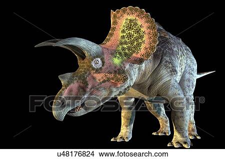 "Triceratops dinosaur, computer illustration. " View Large Illustration Stock Illustration - "Triceratops dinosaur, computer illustration. ". Fotosearch