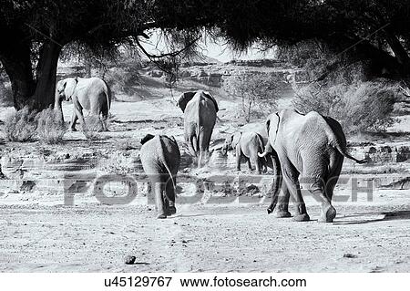 A family outing View Large Photo Image Stock Photo - A family outing. Fotosearch