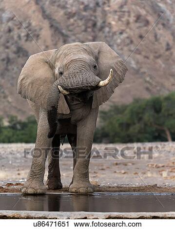 Stock Image - A sense of humour. Fotosearch