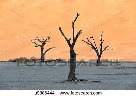 Stock Image - Deadvlei dancers. Fotosearch