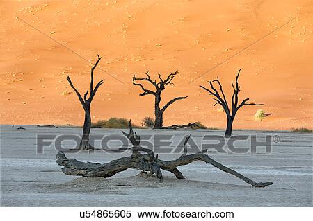 Stock Photography - Deadvlei dancers. Fotosearch
