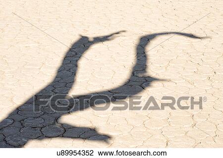 Stock Image - Deadvlei shadow. Fotosearch