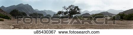 Desert dawn View Large Photo Image Stock Photo - Desert dawn. Fotosearch