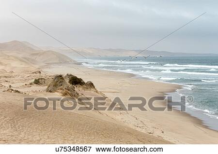 Desert meets Atlantic ocean in the mist View Large Photo Image Stock Photo - Desert meets Atlantic ocean in the mist. Fotosearch