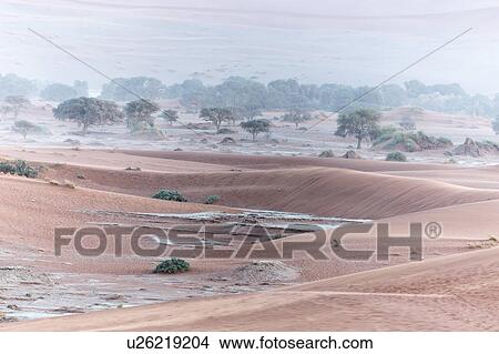 Desert mists and red dunes View Large Photo Image Picture - Desert mists and red dunes. Fotosearch