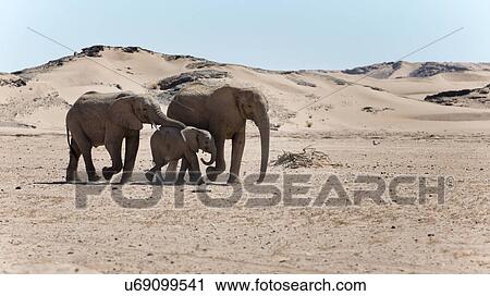 Desert ships View Large Photo Image Stock Image - Desert ships. Fotosearch