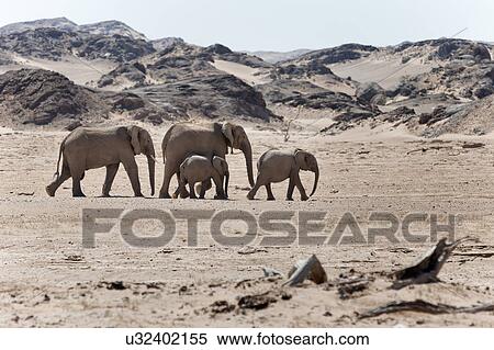 Desert ships View Large Photo Image Stock Photography - Desert ships. Fotosearch