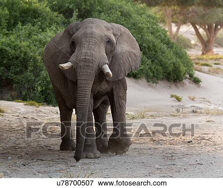 Stock Photo - Face to face. Fotosearch