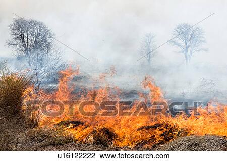 Fire in the fields View Large Photo Image Stock Image - Fire in the fields. Fotosearch