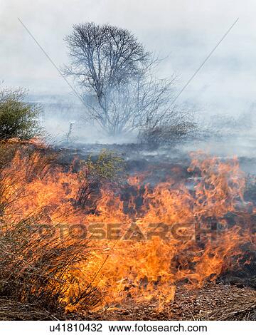 Stock Image - Fire in the fields. Fotosearch