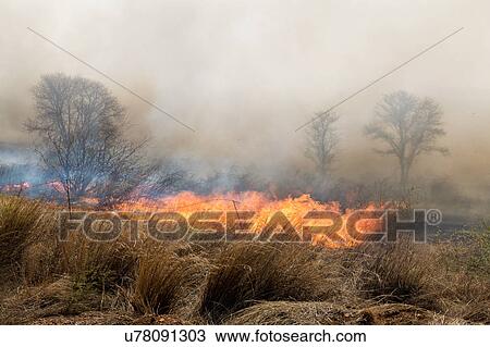 Stock Image - Fire in the fields. Fotosearch