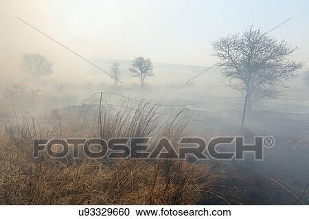 Stock Image - Fire in the fields. Fotosearch