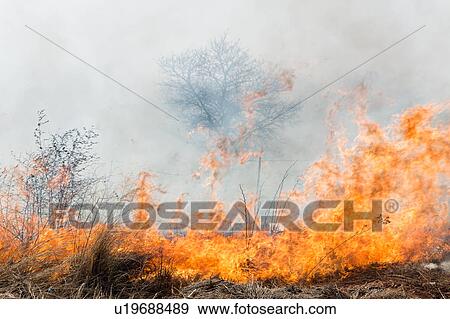 Stock Photo - Fire in the fields. Fotosearch