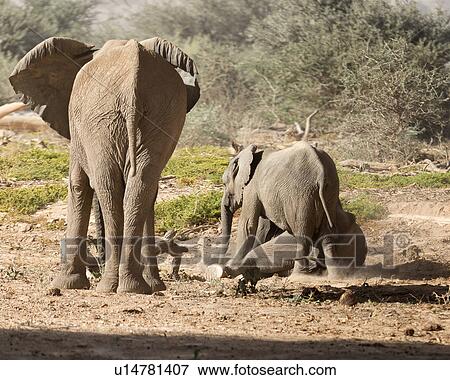 Stock Photo - Kids playing in the dirt beside Mum. Fotosearch