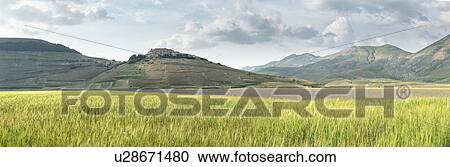 Stock Image - Mountain meadow of Piano Grande, Umbria, Italy, with wildflowers. Fotosearch