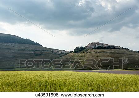 Mountain meadow of Piano Grande, Umbria, Italy, with wildflowers View Large Photo Image Stock Photograph - Mountain meadow of Piano Grande, Umbria, Italy, with wildflowers. Fotosearch