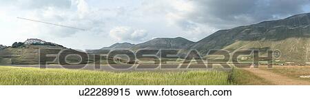 Stock Photography - Mountain meadow of Piano Grande, Umbria, Italy, with wildflowers. Fotosearch