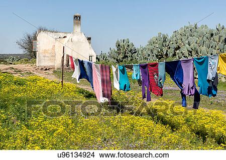 Nama laundry day View Large Photo Image Picture - Nama laundry day. Fotosearch
