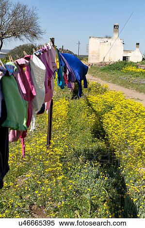 Nama laundry day View Large Photo Image Stock Photography - Nama laundry day. Fotosearch