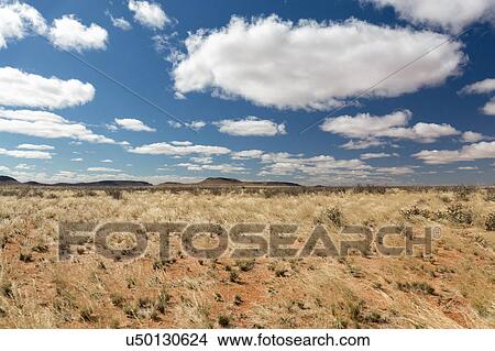 Picture - Northern Cape stretches for miles. Fotosearch