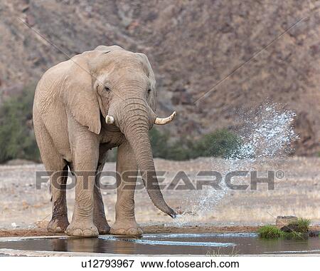 Stock Photo - Playing at the waterhole. Fotosearch