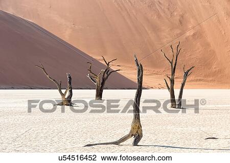 Stock Image - Principal dancer and corpse de ballet. Fotosearch