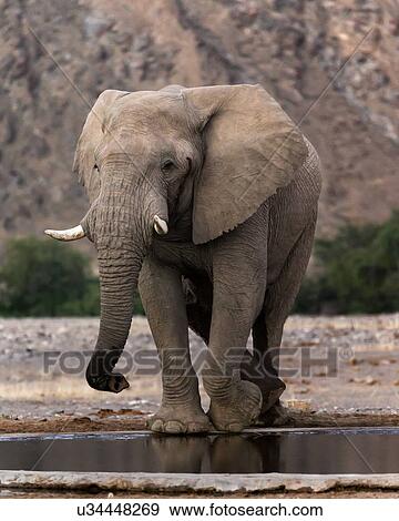 Stock Photo - Relieved to be here. Fotosearch