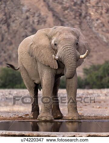 Stock Photo - Relieved to be here. Fotosearch