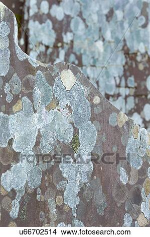 Picture - Rock Art 1. Fotosearch