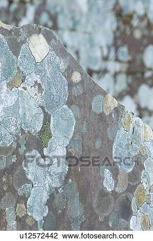 Rock Art 2 View Large Photo Image Stock Image - Rock Art 2. Fotosearch