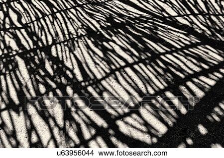 Picture - Sand shadows. Fotosearch