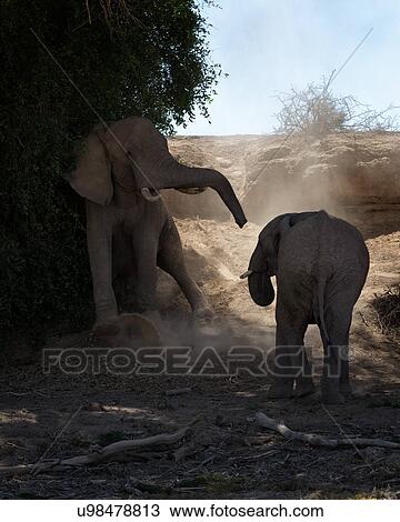 Stock Image - Sand slide in the river bed. Fotosearch