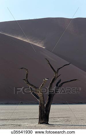 Stock Image - Scale of the dunes. Fotosearch