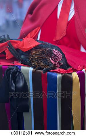 Stock Image - Sicily in springtime: Easter Culture, beaches, snow covered mountains, central landscapes, architecture shaped by the centuries, Italy. Fotosearch