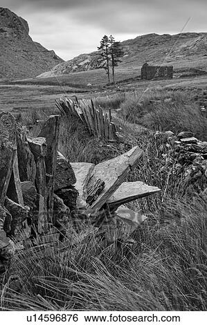 Slate fence display View Large Photo Image Stock Photograph - Slate fence display. Fotosearch