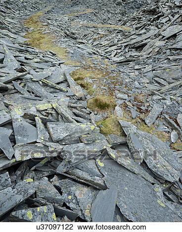 Stock Image - Slate spoil heap with grass. Fotosearch