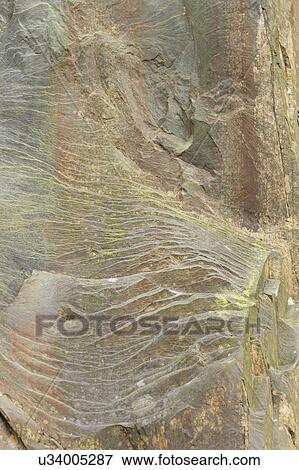 Slate waves View Large Photo Image Stock Photo - Slate waves. Fotosearch