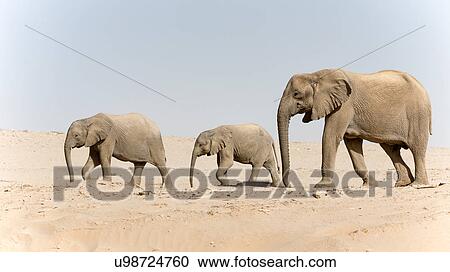 Stock Image - Somewhere to go. Fotosearch