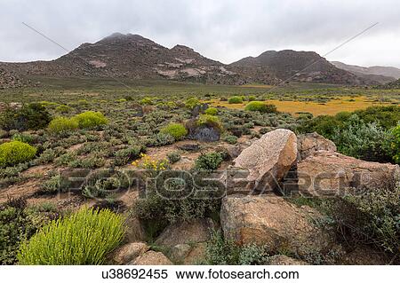 Stock Photography - Spring rains and flowers. Fotosearch