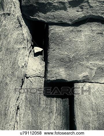 Stock Photo - The house that Jack built - out of quiver trees. Fotosearch