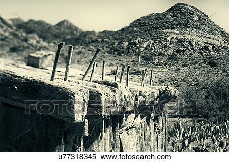 Stock Photography - The house that Jack built - out of quiver trees. Fotosearch