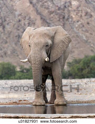 the scent of water View Large Photo Image Stock Image - the scent of water. Fotosearch