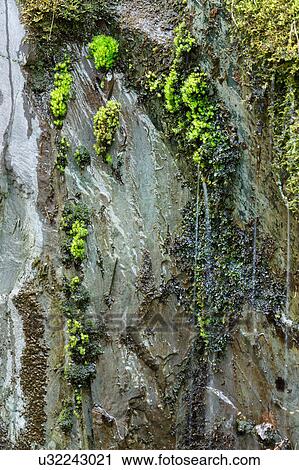 Stock Image - Tiny waterfalls in springtime 1. Fotosearch