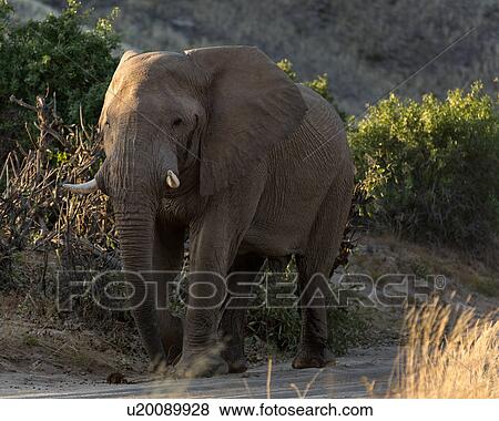 Stock Photo - What are you looking at?. Fotosearch
