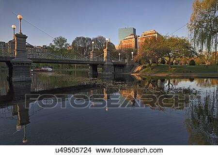 Boston public garden at dawn View Large Photo Image Picture - Boston public garden at dawn. Fotosearch