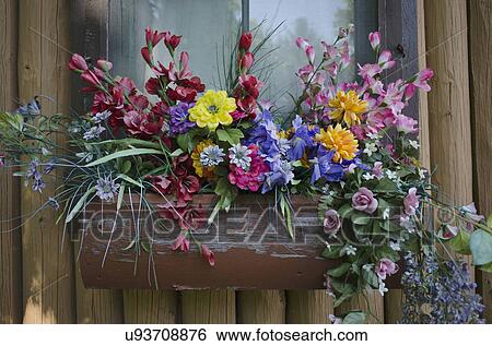 Close-up of potted flowers View Large Photo Image Stock Photograph - Close-up of potted flowers. Fotosearch