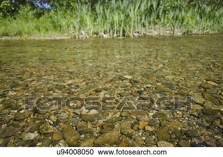 Close-up of water in river View Large Photo Image Stock Image - Close-up of water in river. Fotosearch