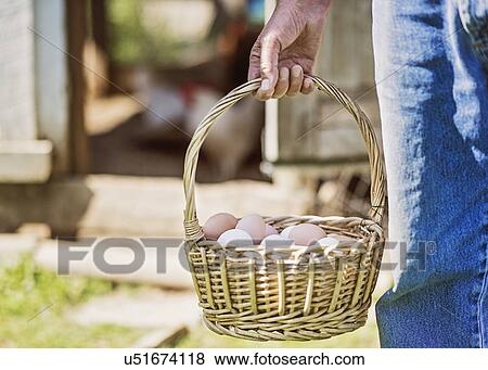 Farmer carrying basket with eggs View Large Photo Image Stock Photo - Farmer carrying basket with eggs. Fotosearch