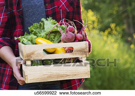 Stock Image - Female farmer carrying crate with vegetables. Fotosearch