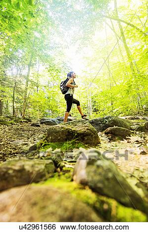 Female hiker in forest View Large Photo Image Stock Photograph - Female hiker in forest. Fotosearch